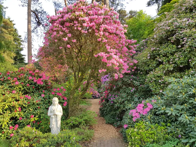 Rhododendronpark Hobbie