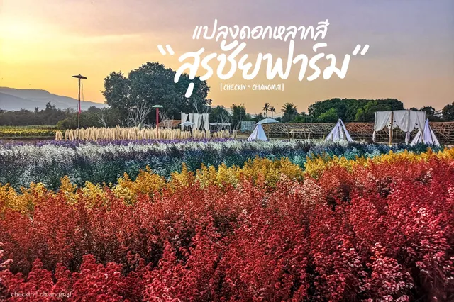 สุรชัยฟาร์ม สวนเชียงใหม่