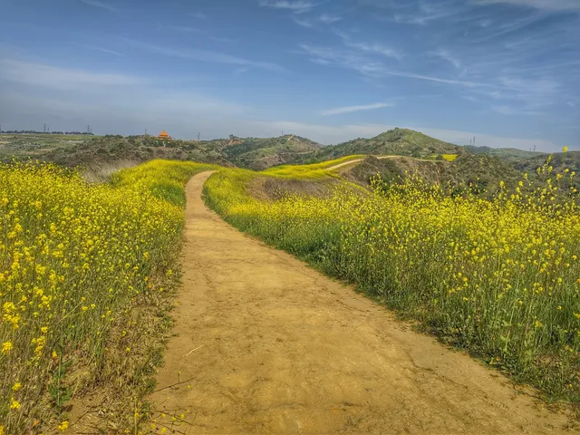 Sycamore Canyon Trailhead