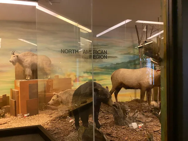 Museum of Classical Archaeology