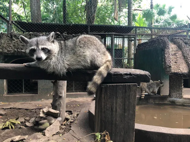 Parque Zoológico Miguel A. de Quevedo