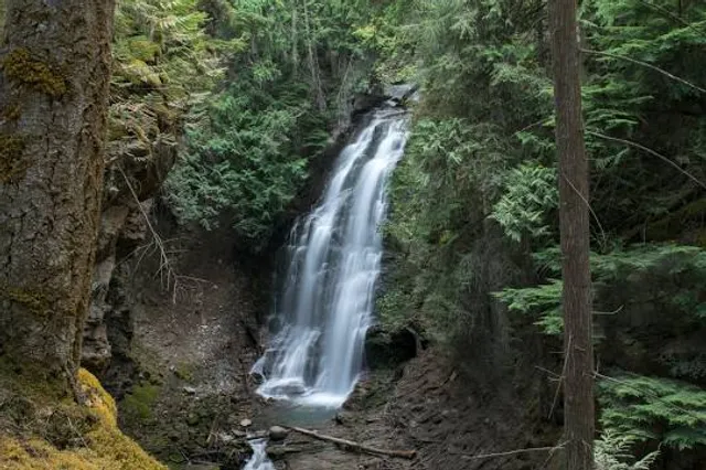 Area D (Lardeau Valley/Duncan Lake)