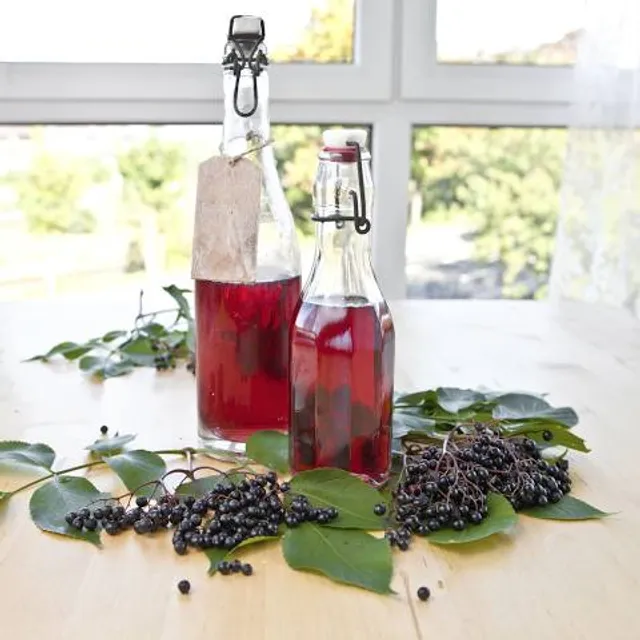 Dalslands Konstmuseum