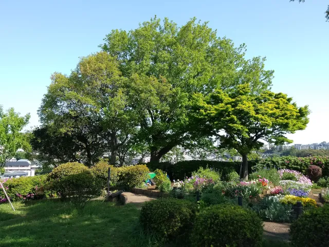 photo-1