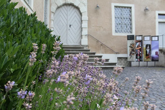 Art Museum of the Canton of Thurgau