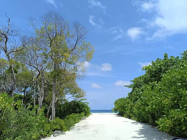 Makunudhoo