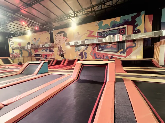 Bouncing Brother Trampoline Park
