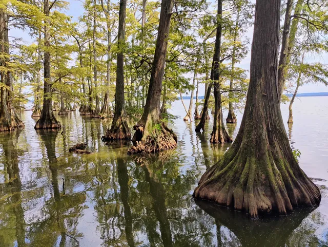 Park Office / Visitor Center