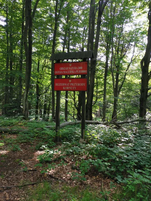 place image
