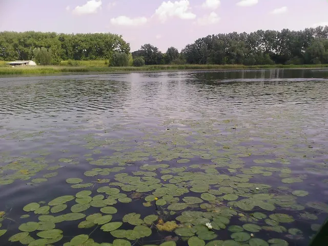 Jezioro Starogrodzkie