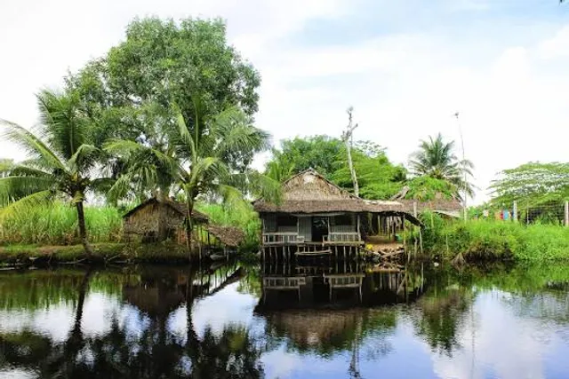 U Minh Ha National Park