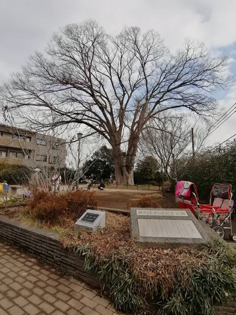 Sakanoue-no-Keyaki Park