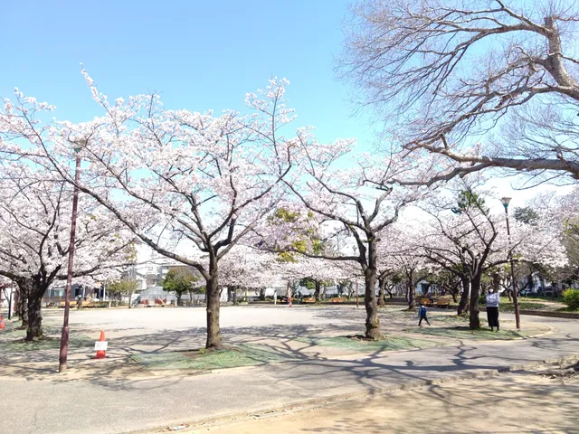 Haruenomori Park