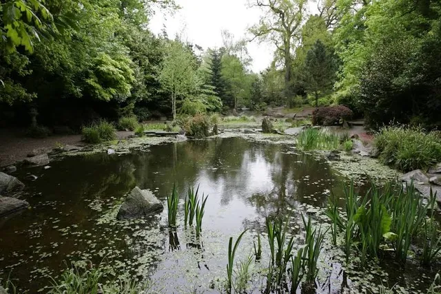 Sir Thomas and Lady Dixon Park