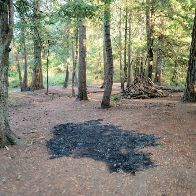 Cuthbert Holmes Park