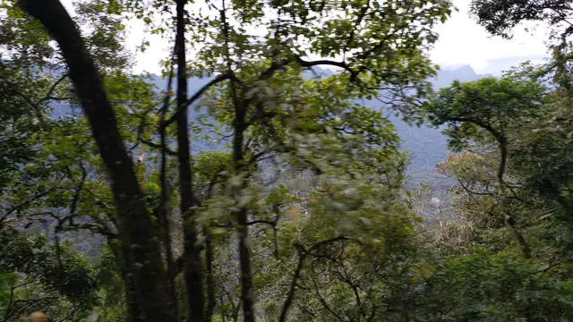 Passeio de trem ("Maria Fumaça")