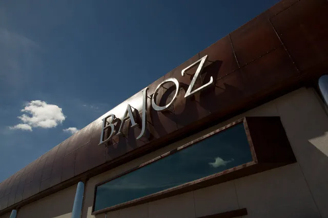 Bodega Pagos del Rey - Toro