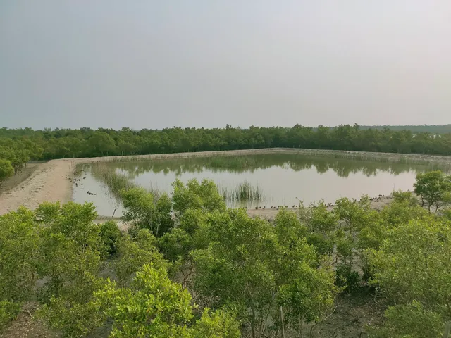 Sajnekhali Wildlife Sanctuary