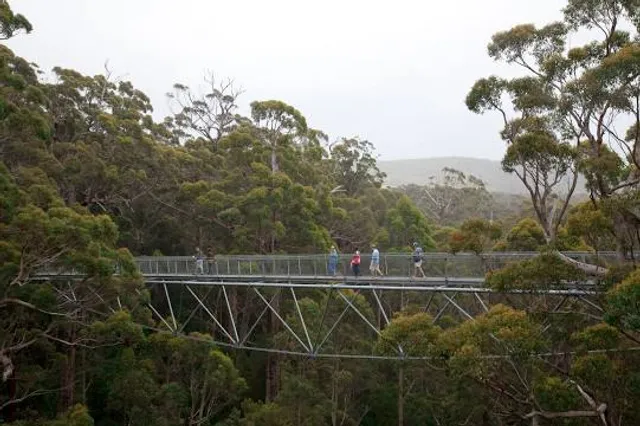 Walpole-Nornalup National Park