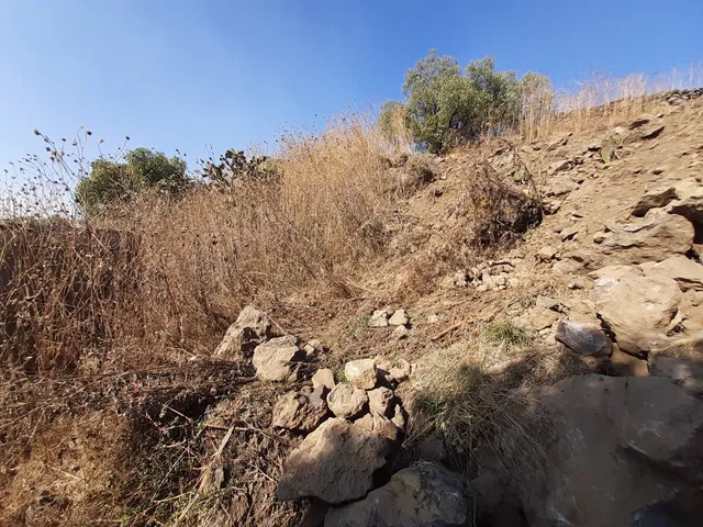 Lienzo Charro Caporales del Sur