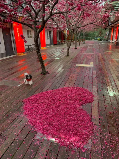 三義微微風民宿