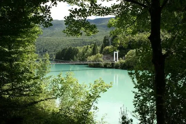 Foresta del Prescudin