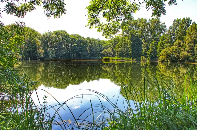 Denkendorfer Erlachsee