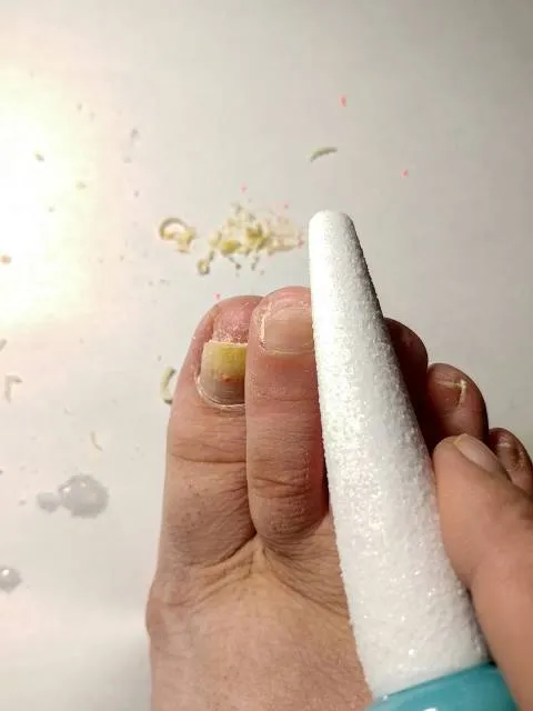 Museo de Artes Visuales Victor Roverano