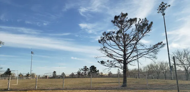 Blackie Chester Park