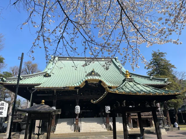 place image