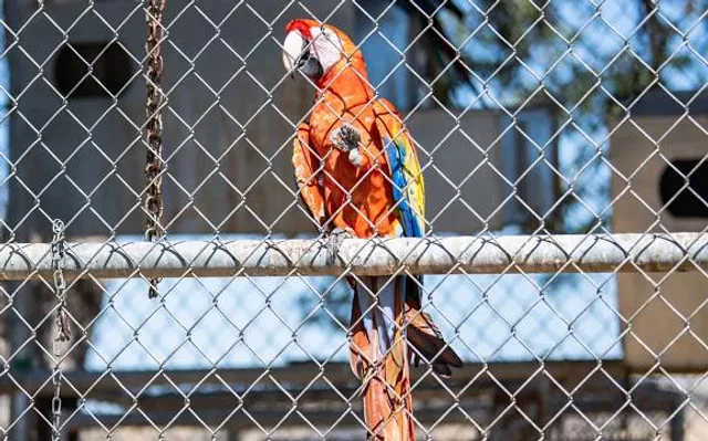 Barry R. Kirshner Wildlife Sanctuary