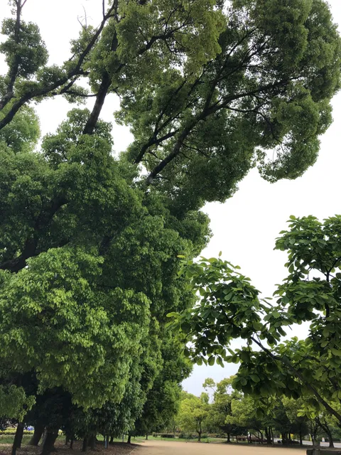 photo-2
