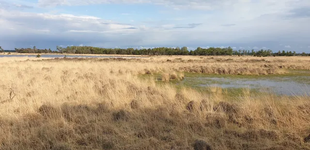 Natuurpoort De Plaetse
