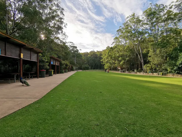 Blackbutt Nature Reserve