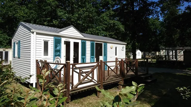 Camping Bois Hunting