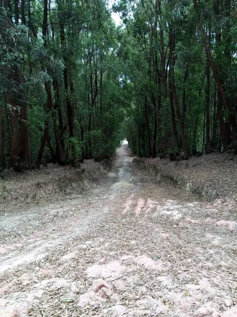 Machakos Central ward