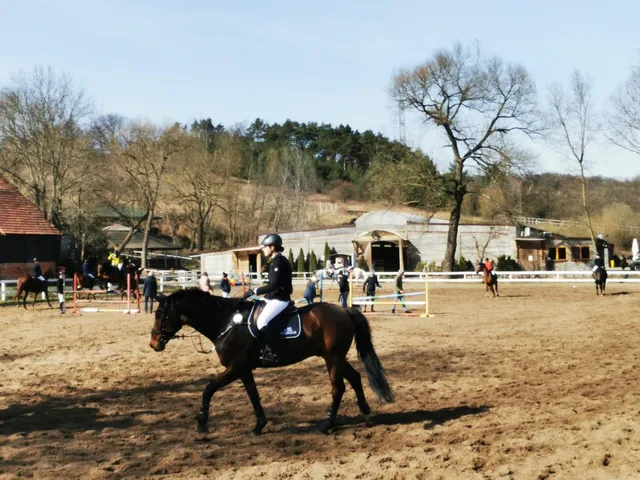 Strzelce Dolne (grodzisko)