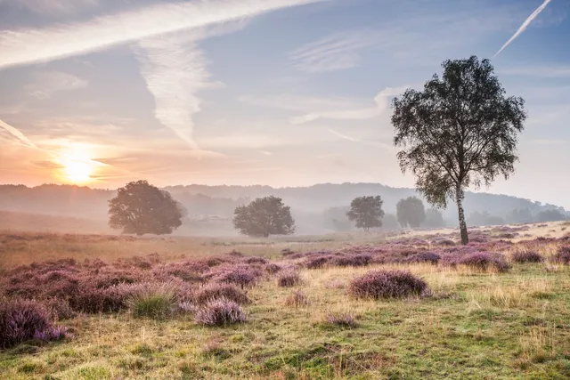 Mookerheide - Natuurmonumenten