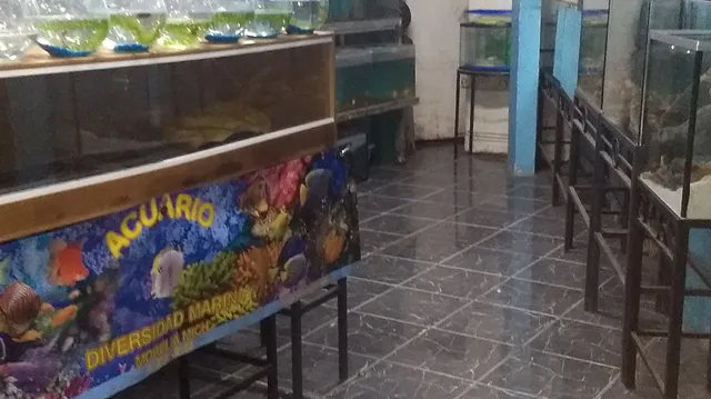 Acuario Diversidad Marina