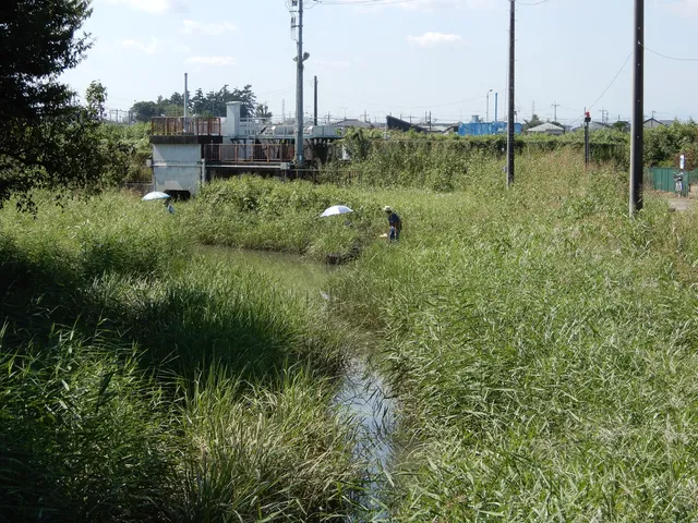 Minamitajimanishida Park
