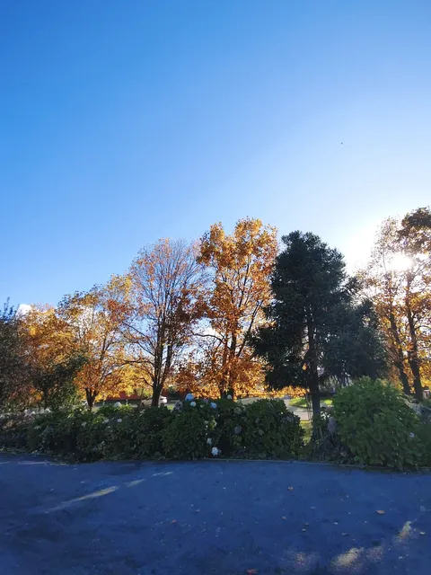 Villa Los Ríos Park