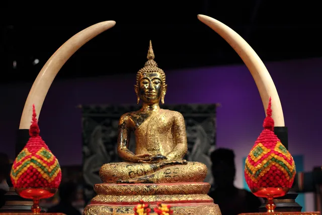 Pick Museum Of Anthropology