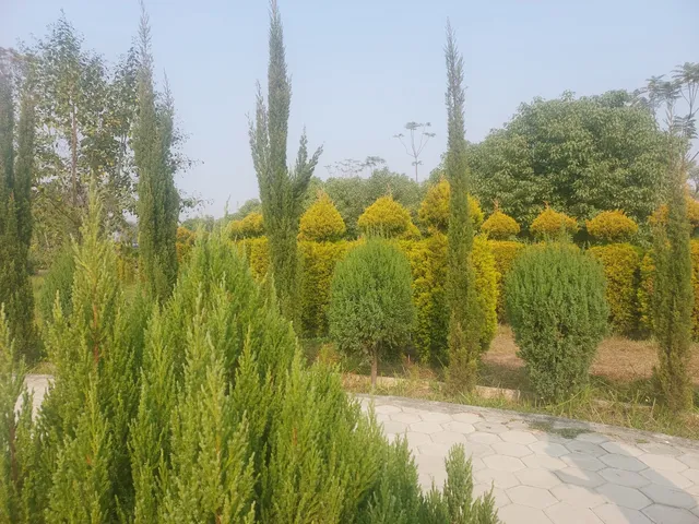 photo-2