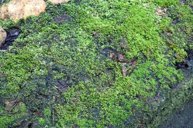 Casa del Parque Monte Santiago