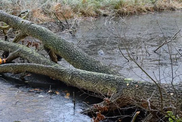 Raesfeld Castle Park