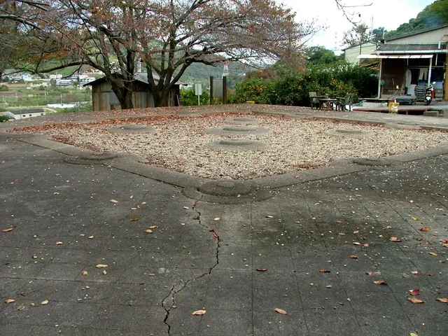 Relics of Kawachi Provincial Temple
