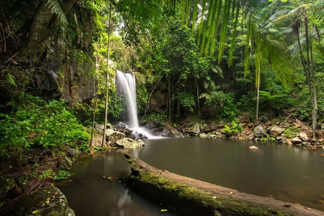 Tamborine National Park
