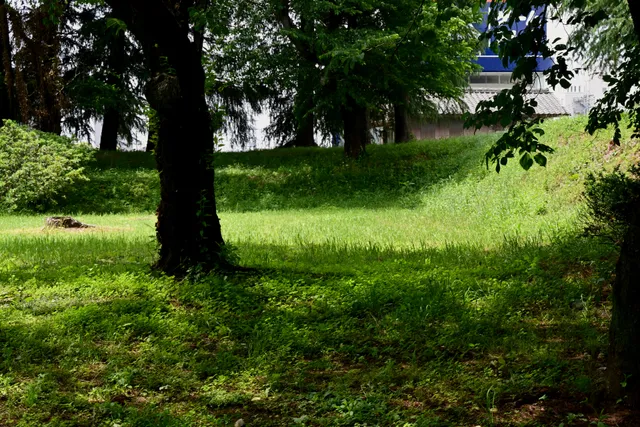 photo-2