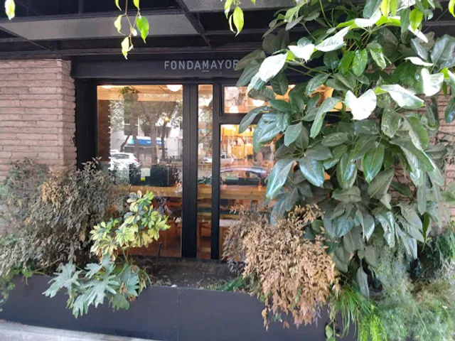 Fonda Mayora