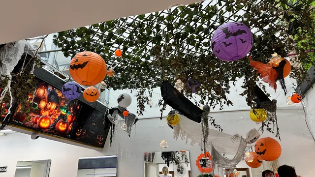 Open Studio Hair Beauty Institute